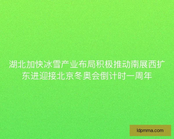 湖北加快冰雪产业布局积极推动南展西扩东进迎接北京冬奥会倒计时一周年