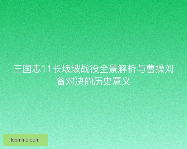 三国志11长坂坡战役全景解析与曹操刘备对决的历史意义